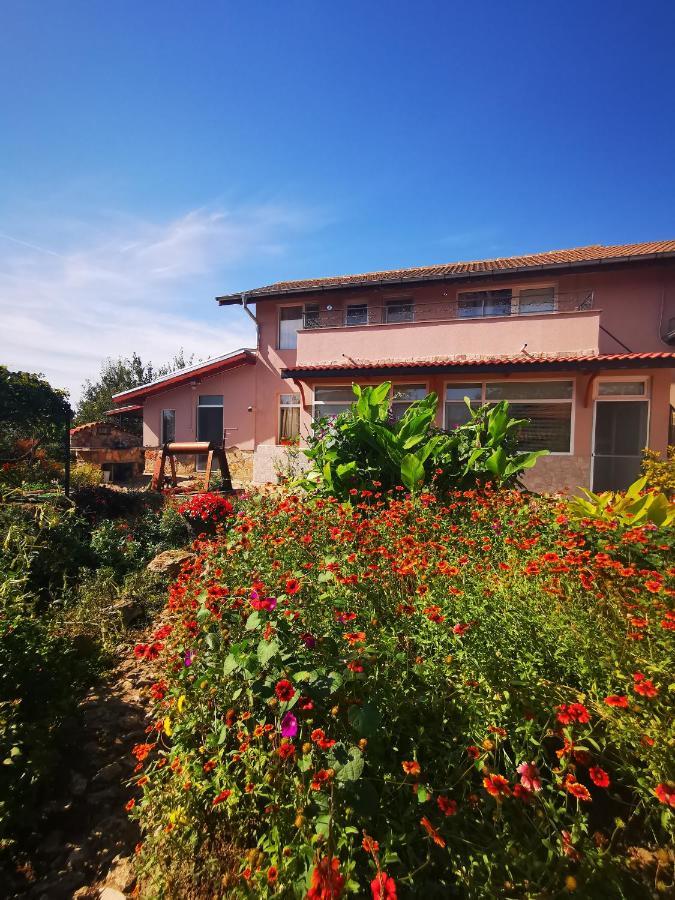 Guest House Ezerets Exterior foto
